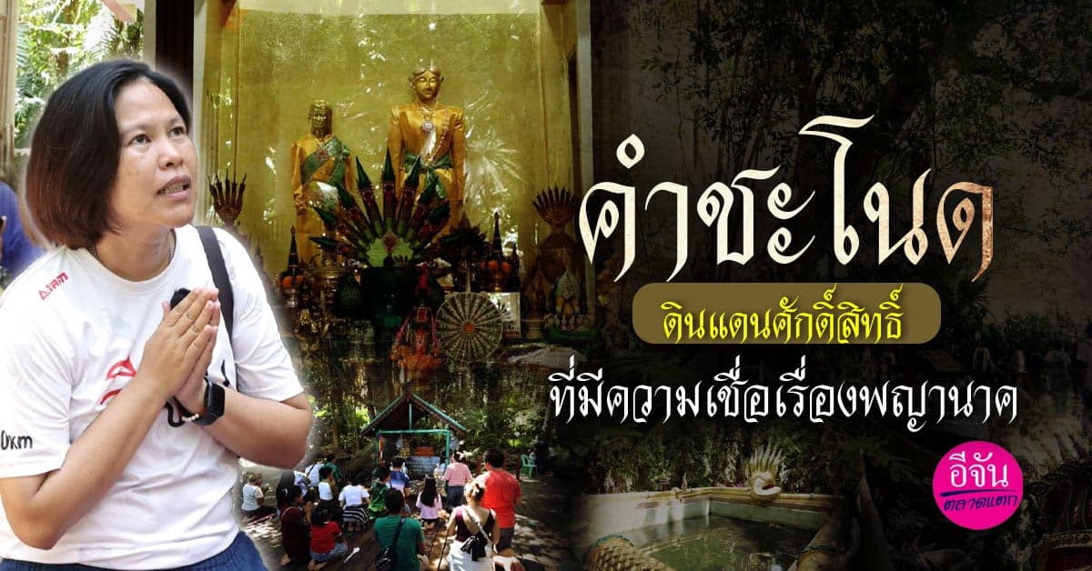 คำชะโนด เมืองสองโลก
ดินแดนศักดิ์สิทธิ์ที่มีความเชื่อเรื่องพญานาค