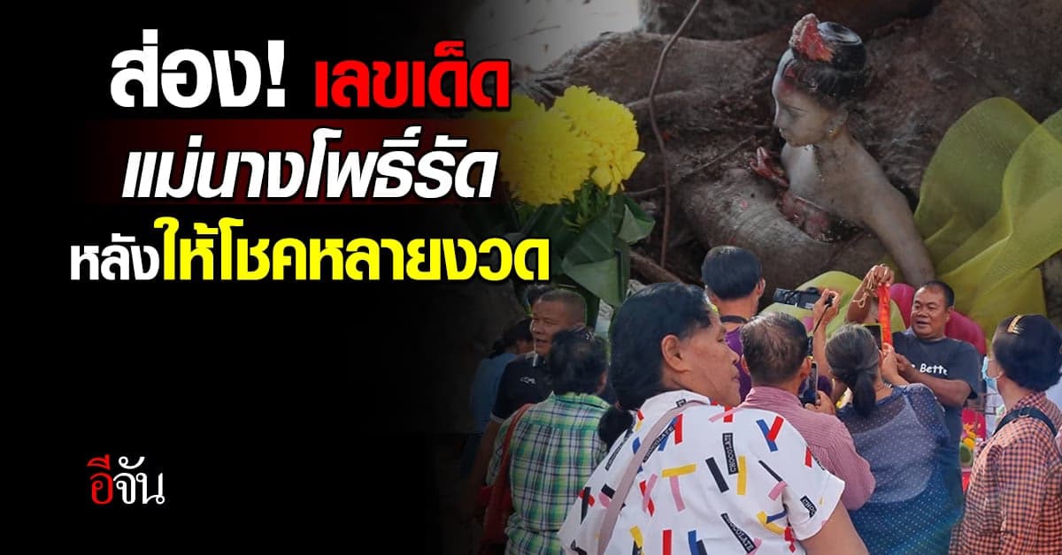 ส่อง! เลขเด็ด “แม่นางโพธิ์รัด” รูปปั้นสาวโผล่กลางต้นโพธิ์ 100 ปี