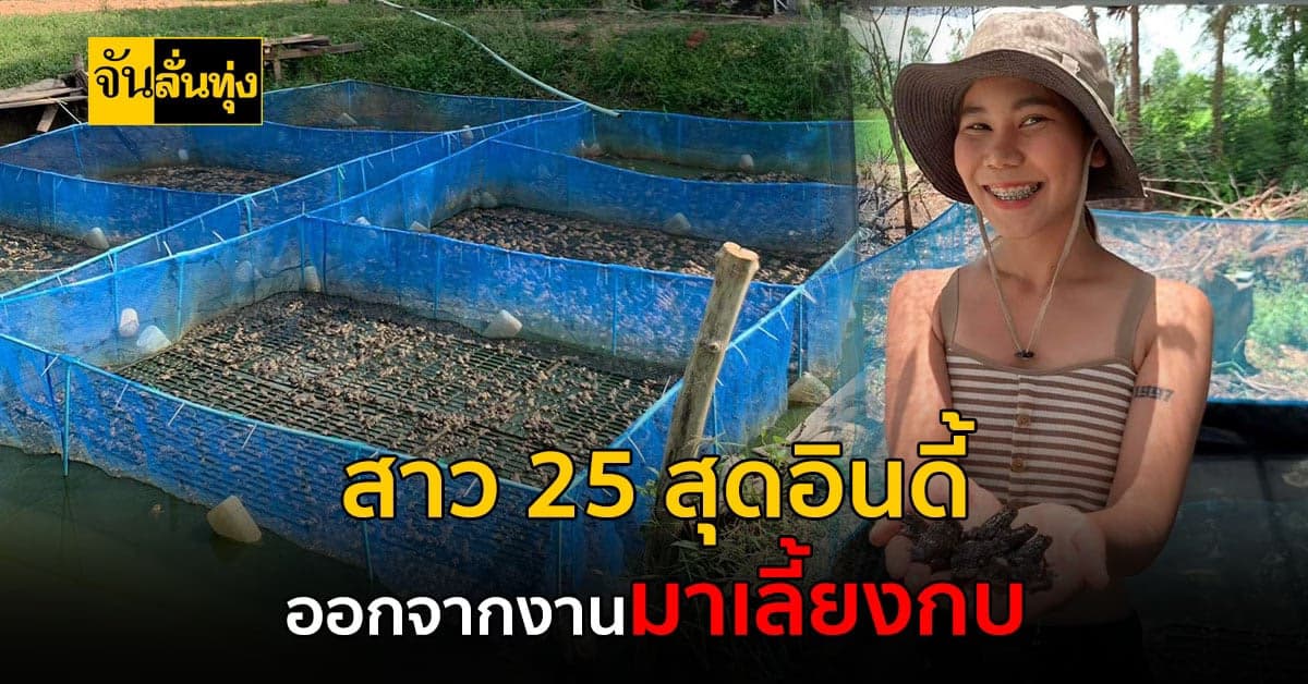 อายุเพียง 25 ลาออกจากงานประจำ ลงทุนเลี้ยงกบทำรายได้เป็นแสนต่อฤดูกาล