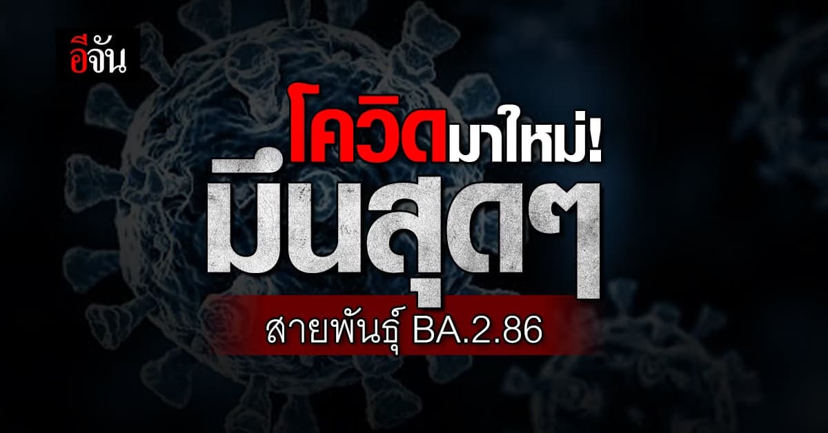 “หมอธีระ” เผยโควิดสายพันธุ์ BA.2.86 ดื้อต่อภูมิมากกว่าเดิม