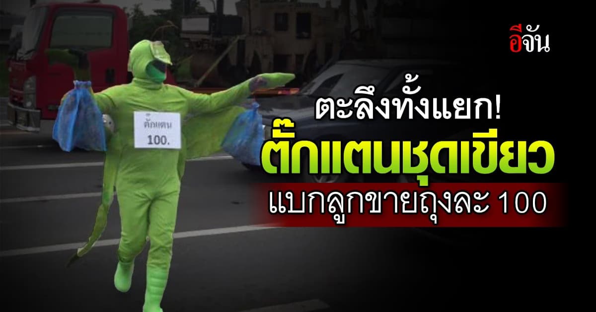 ไอเดียเก๋! ครูผันตัวขายตั๊กแตน สร้างจุดเด่น เพิ่มยอดขายด้วยชุดสุดเท่