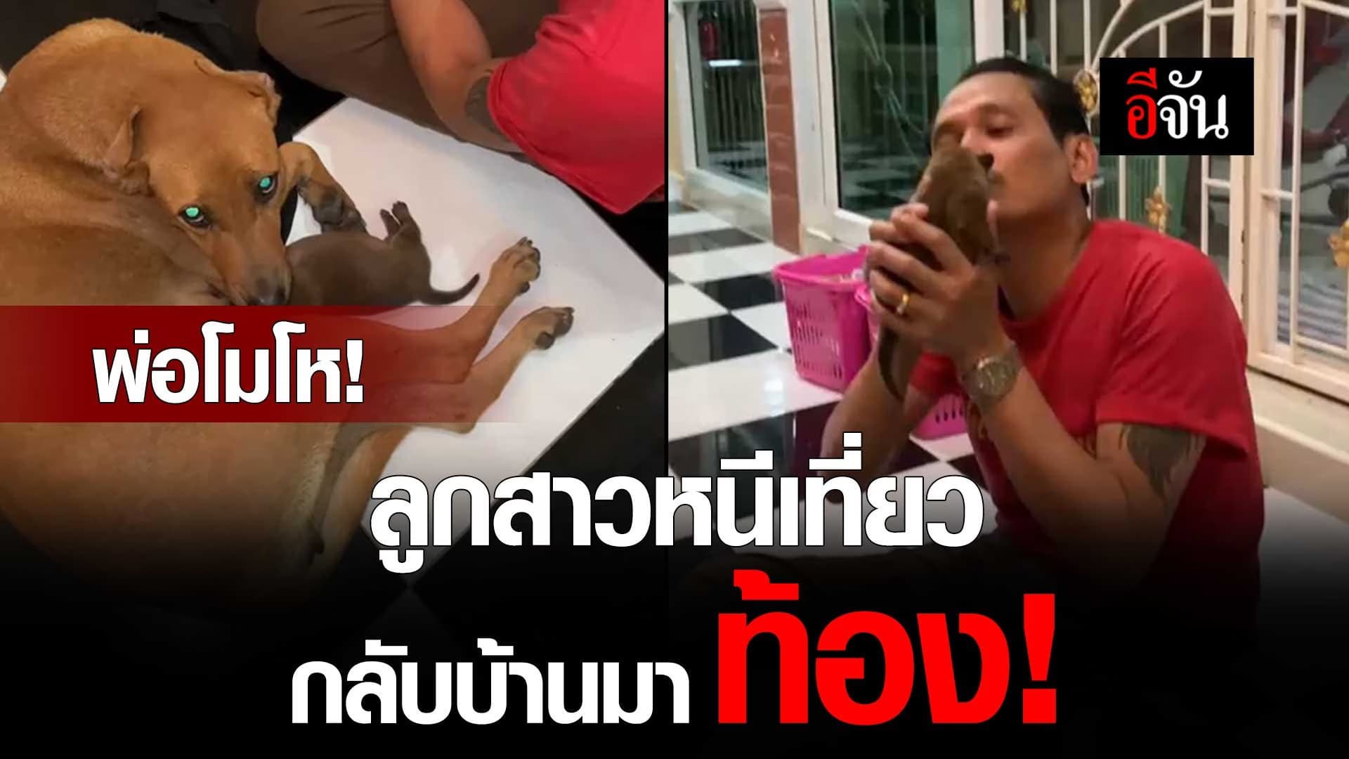 🎬 พ่อโมโห! ลูกสาวหนีเที่ยว กลับบ้านมาท้อง!