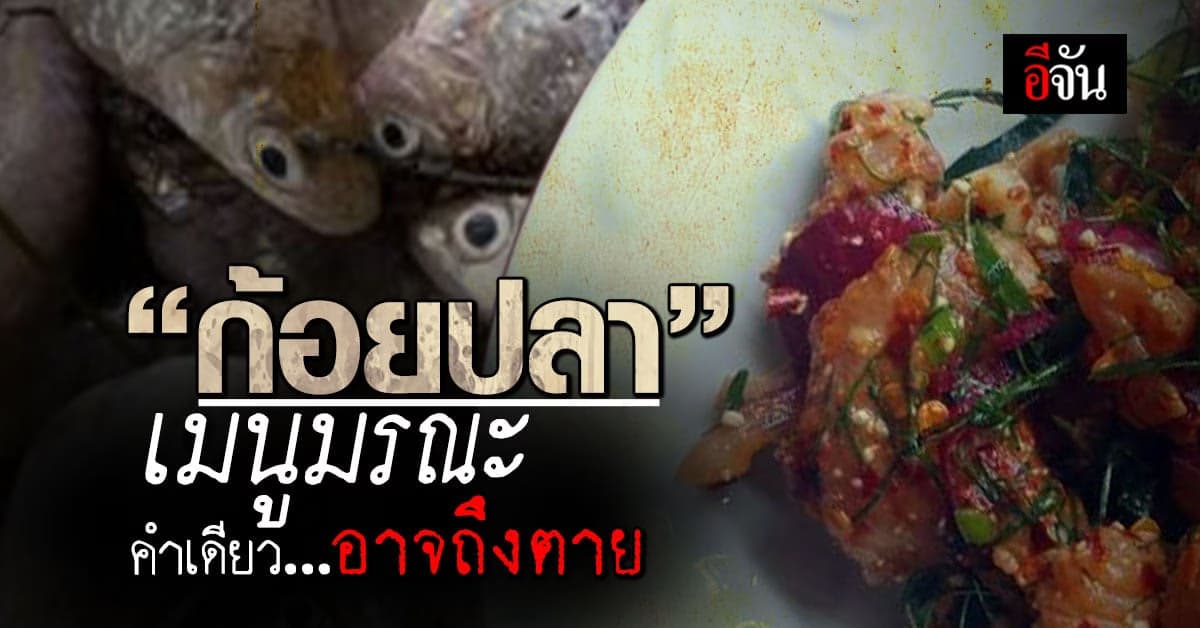 ต่างชาติฮือฮา! ‘ก้อยปลา’ เมนูมรณะ คำเดียวอาจถึงตาย