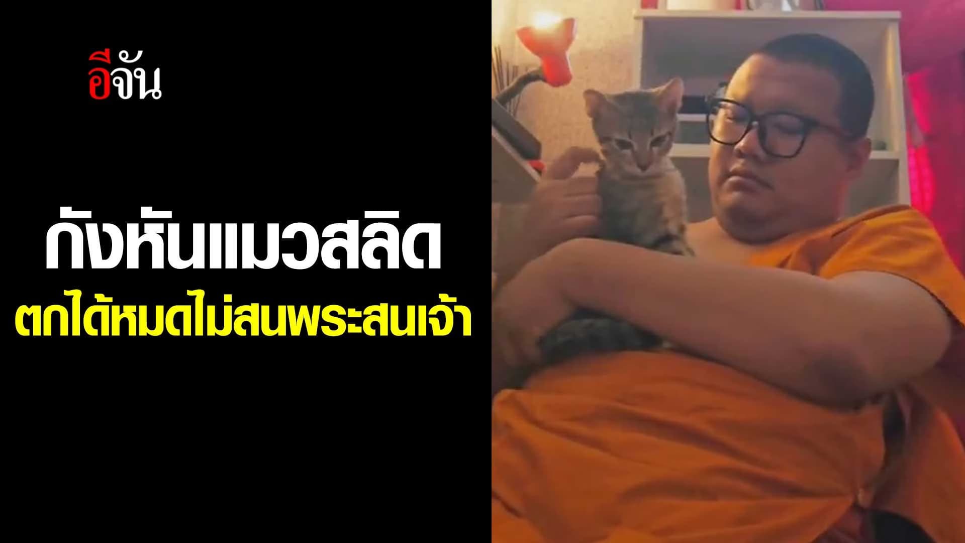 🎬 กังหัน แมวสลิด ตกได้หมดไม่สนพระสนเจ้า