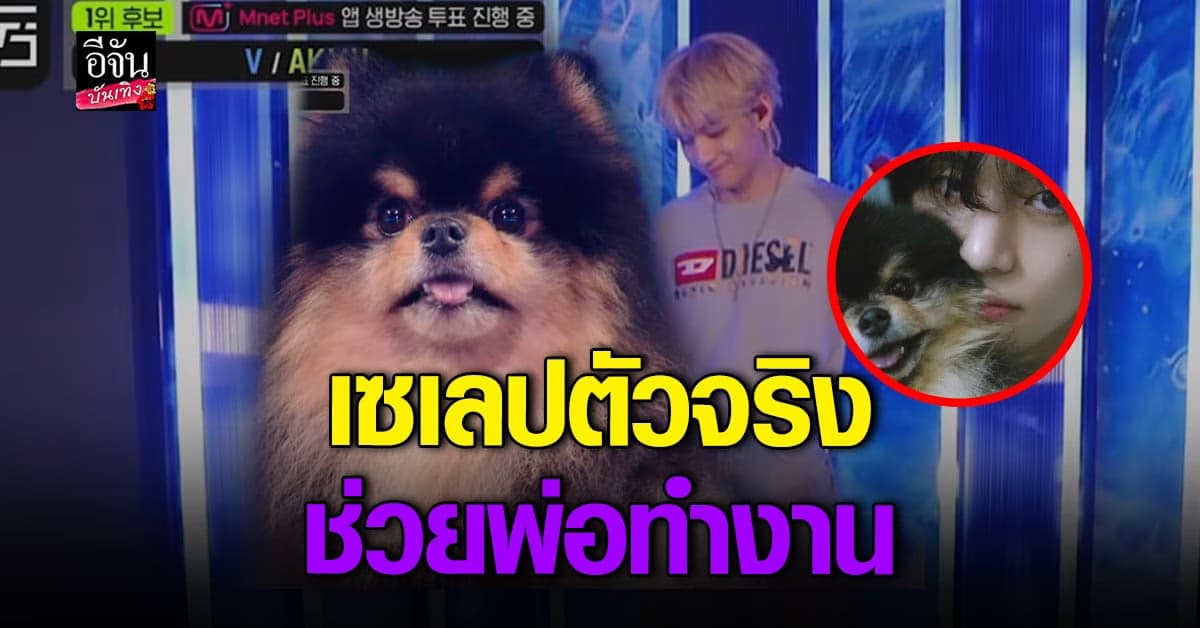 สุดเอ็นดู วี BTS พาลูกรัก ขึ้นโชว์สเตจ