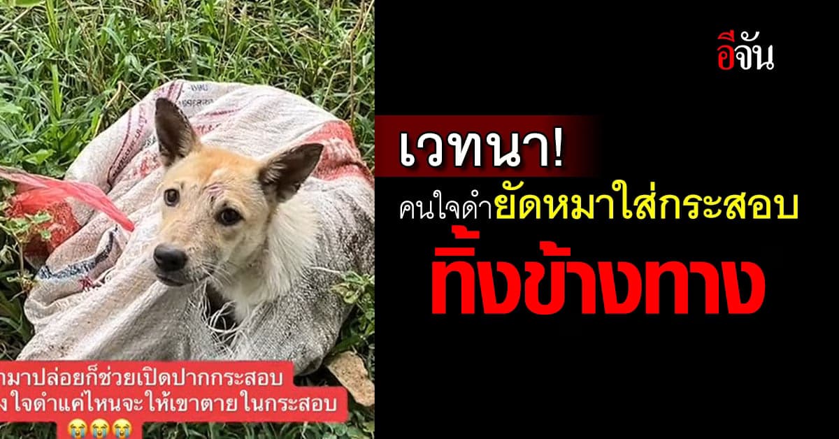 โถลูก สงสารจับใจ คนใจร้ายนำหมาใส่ถุงกระสอบมาทิ้งข้างทาง