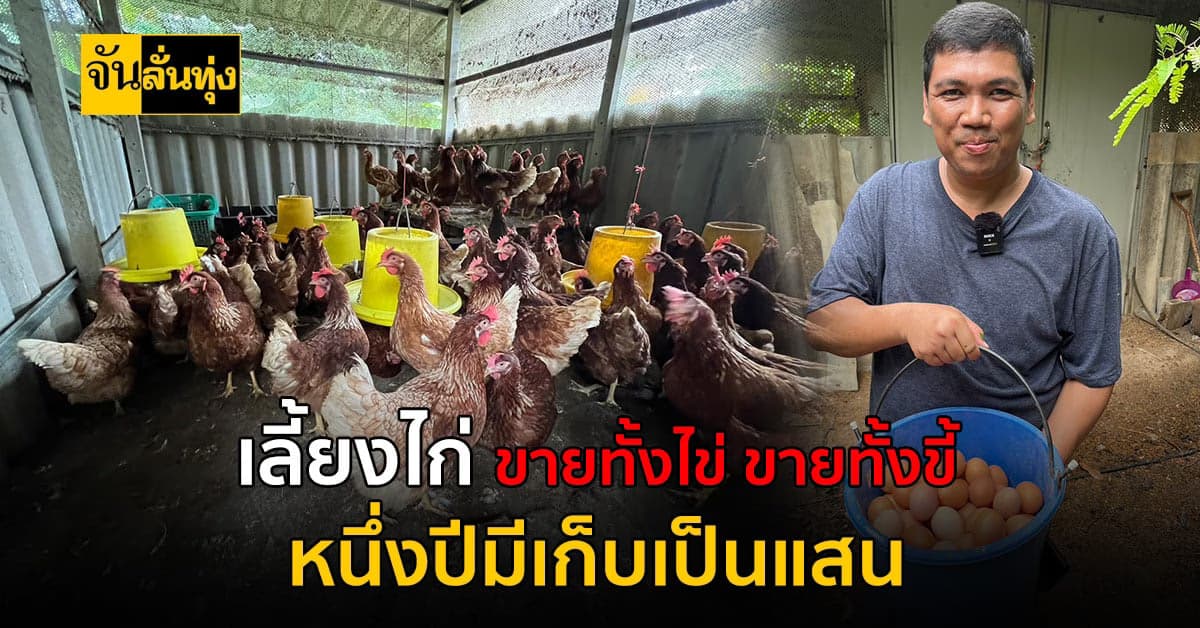 เลี้ยงไก่ ขายทั้งไข่ขายทั้งขี้ สร้างรายได้ปีละแสน!
