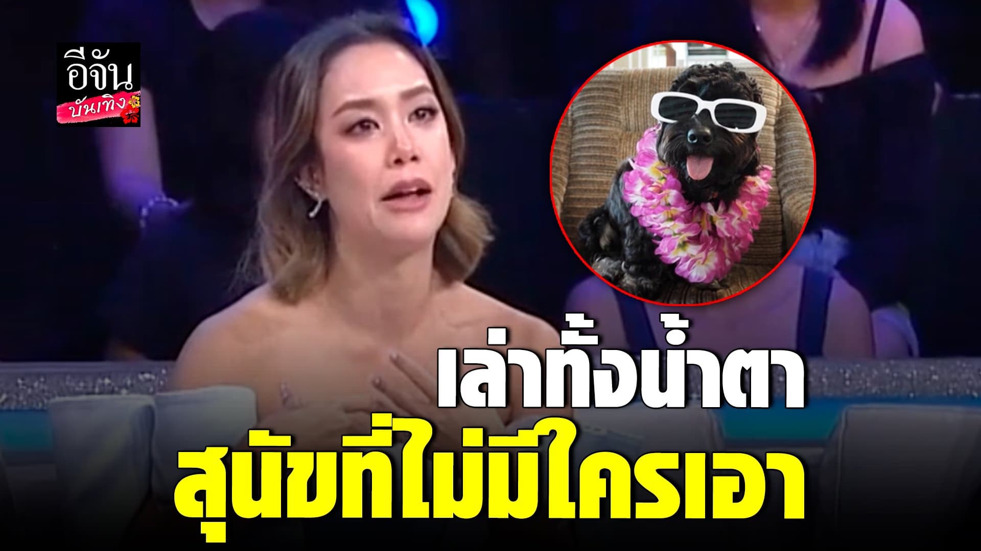 🎬 คลิปบันเทิง : แห่ชื่นชม แอริน รับเลี้ยงสุนัขที่ไม่มีใครเอา