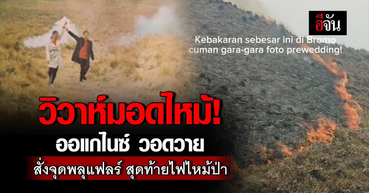 ออแกไนซ์ลมแทบจับ บอกคู่บ่าวสาว จุดพลุแฟร์ สุดท้ายไฟไหม้ป่า