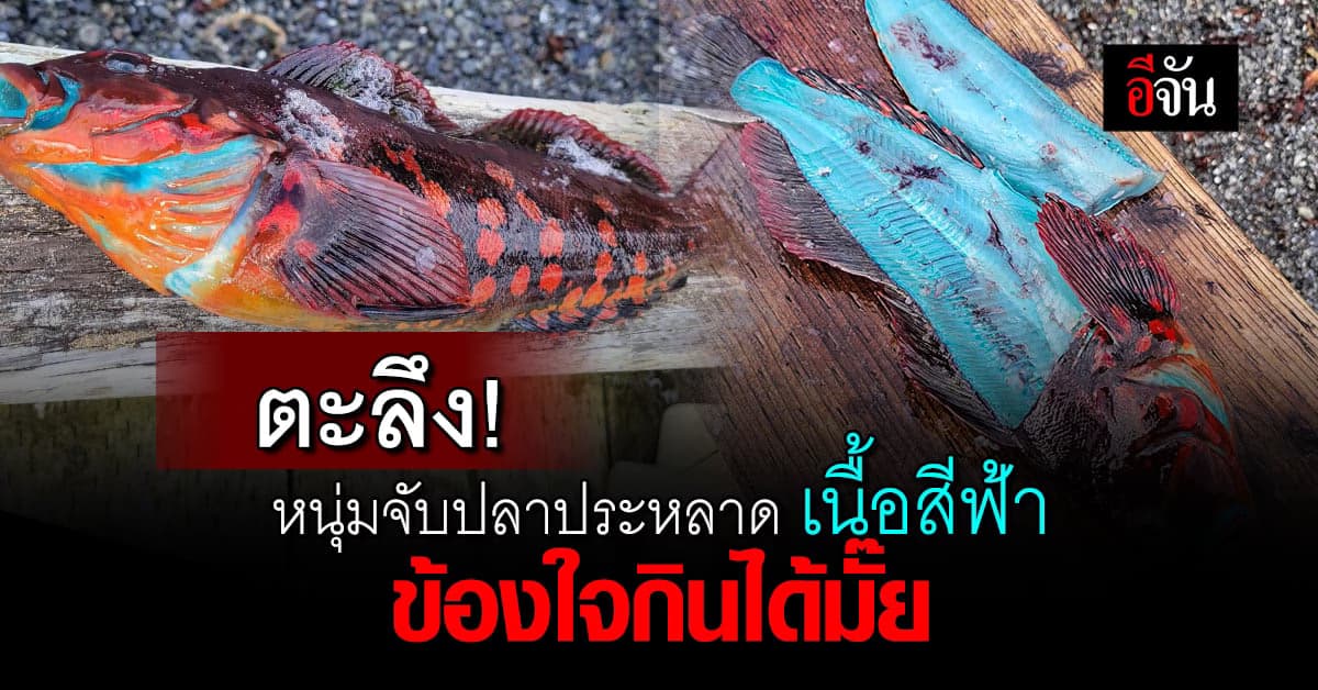 หนุ่มจับปลาประหลาดเนื้อสีฟ้า ข้องใจปลาอะไร กินได้ไหม ?
