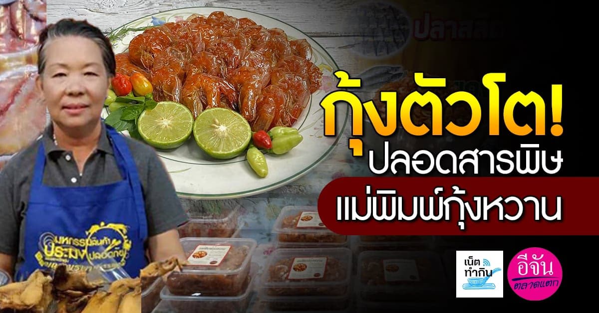 กุ้งตัวโต! ปลอดสารพิษ แม่พิมพ์กุ้งหวาน