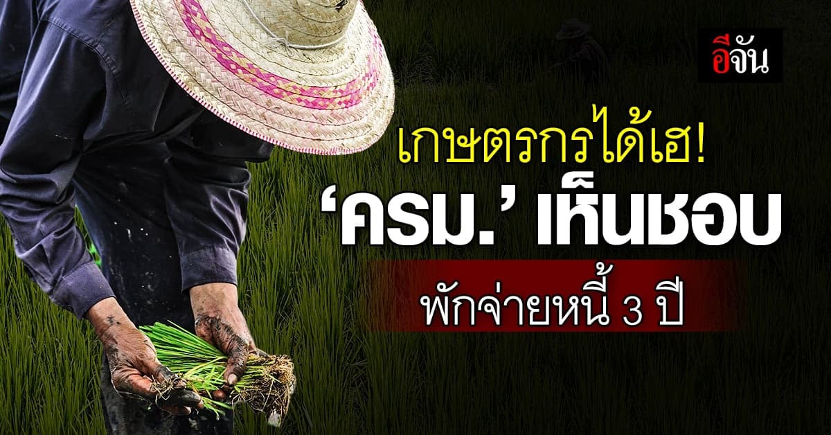 เกษตรกร 2.69 ล้านราย ได้เฮ! ครม.ไฟเขียวพักหนี้ 3 ปี เช็กเงื่อนไขที่นี่