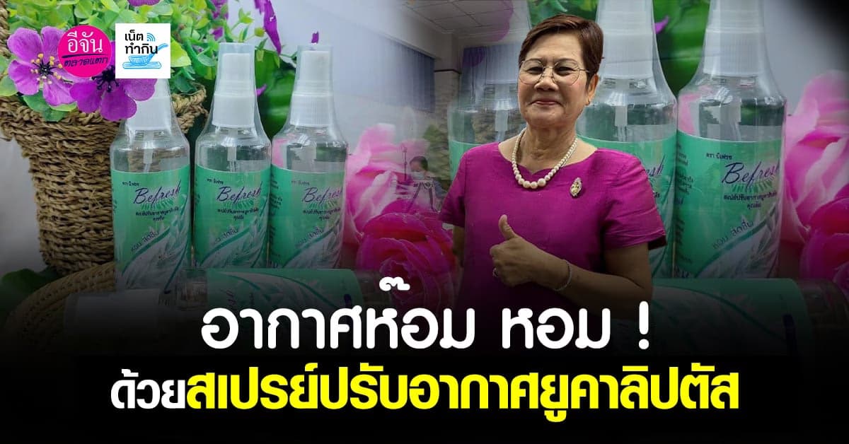 อากาศสดชื่น! ด้วยสเปรย์ปรับอากาศยูคาลิปตัส