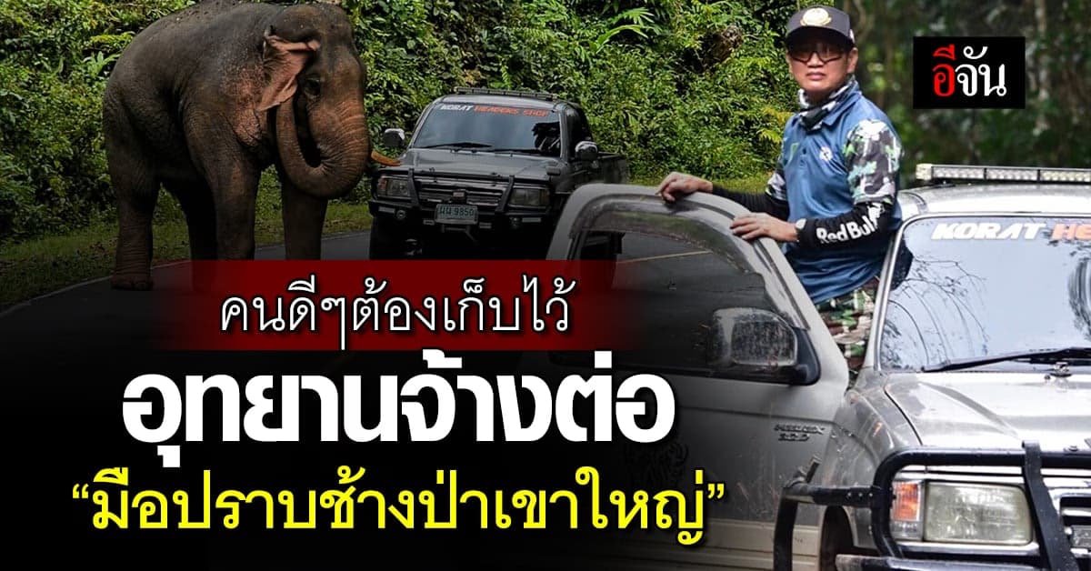 เขาใหญ่ จ้างต่อ สุทธิพร มือปราบช้างป่าเขาใหญ่ ทำงานต่อ หลังเกษียณ