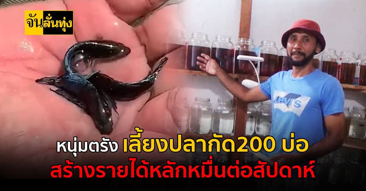 หนุ่มไฟแรง เลี้ยงปลากัด 200 บ่อ สร้างรายได้หลักหมื่นบาทต่อสัปดาห์