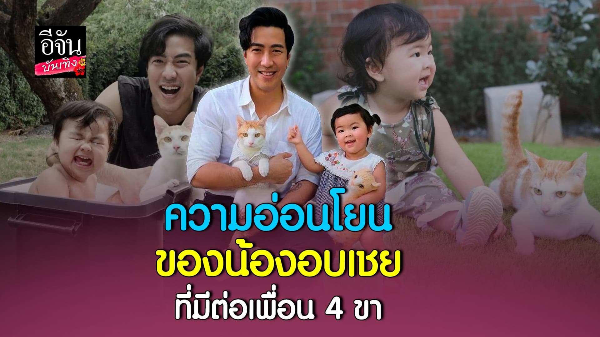 🎬 คลิปบันเทิง : น้องอบเชย ลูกพ่อ โย่ง อาร์มแชร์ ที่มีต่อสัตว์โลก