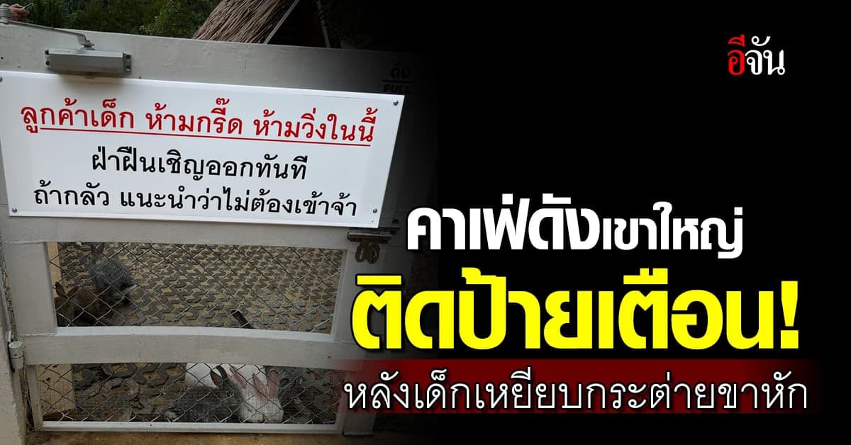 สุดทน! คาเฟ่ดังประกาศชัด ห้ามกรี๊ด-วิ่ง ในคอกกระต่าย ฝ่าฝืนเชิญออก