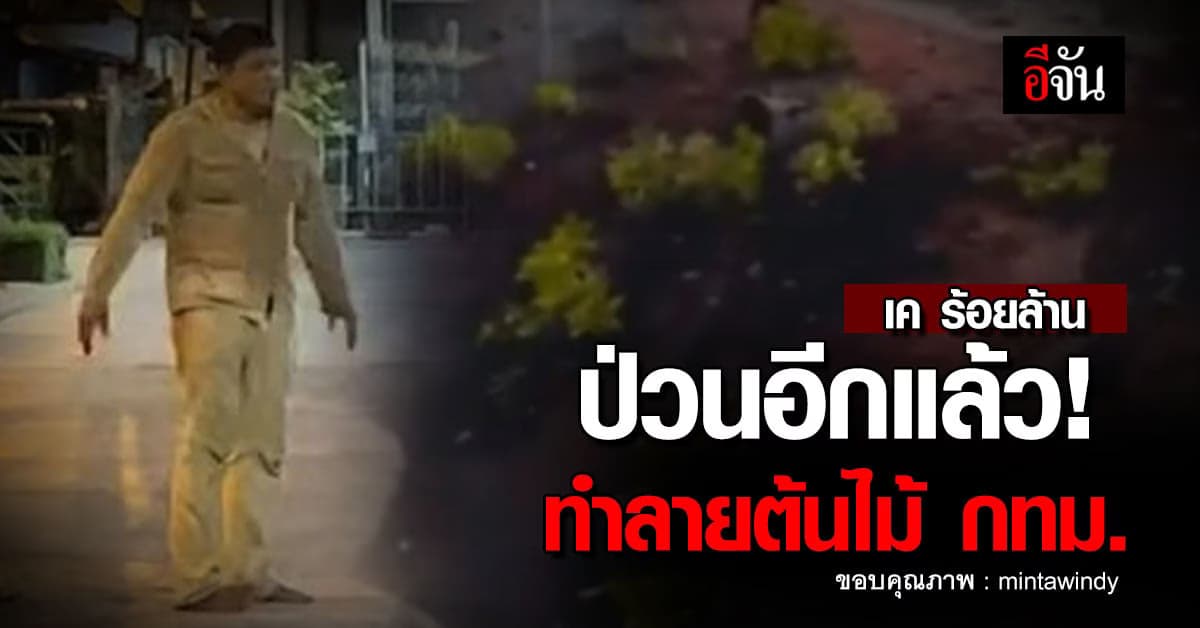 เค ร้อยล้าน สร้างวีรกรรมอีก! ทำลายต้นไม้ ถ.ราชดำเนิน