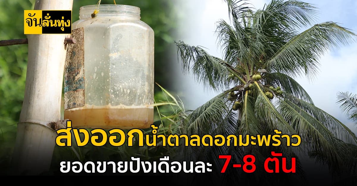 เกษตรปังๆ ส่งออก น้ำตาลดอกมะพร้าว สร้างยอดขายเดือนละ 7-8 ตัน