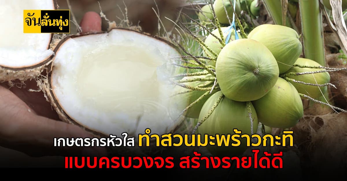 ชาวสวนประจวบ ทำสวนมะพร้าวกะทิแบบครบวงจร สร้างรายได้