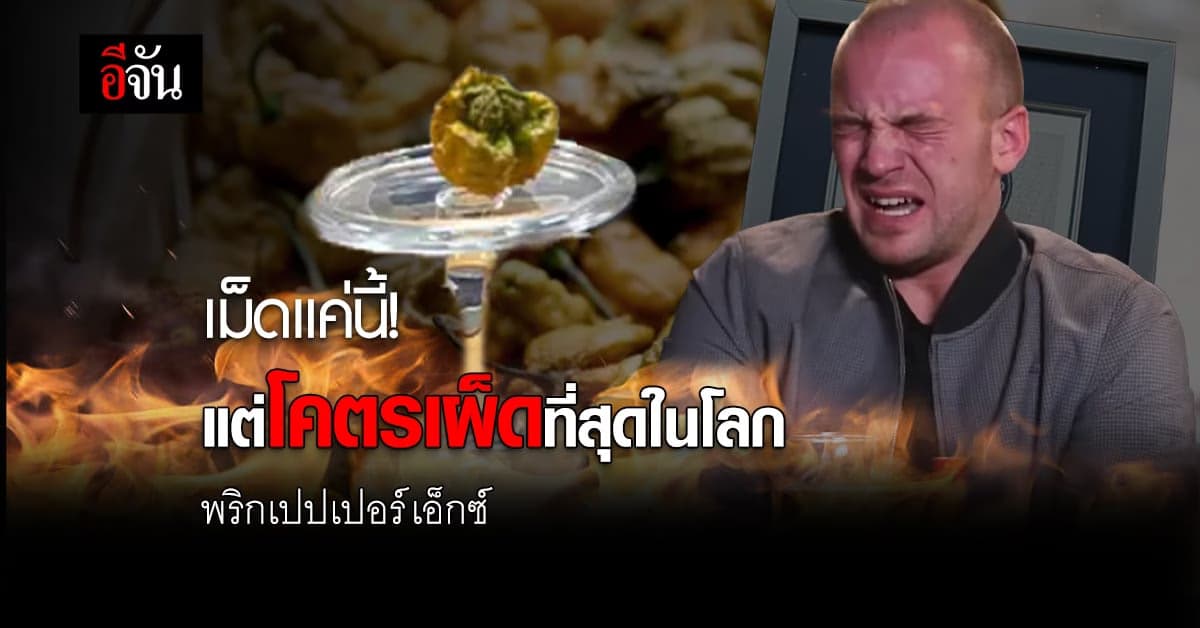 พริกเผ็ดที่สุดในโลก! “เปปเปอร์ เอ็กซ์” กินเนสส์บุ๊กรับรองแล้ว