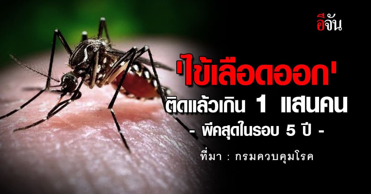 ‘ไข้เลือดออก’ ติดแล้วเกิน 1 แสนคน ระบาดหนักสุดในรอบ 5 ปี