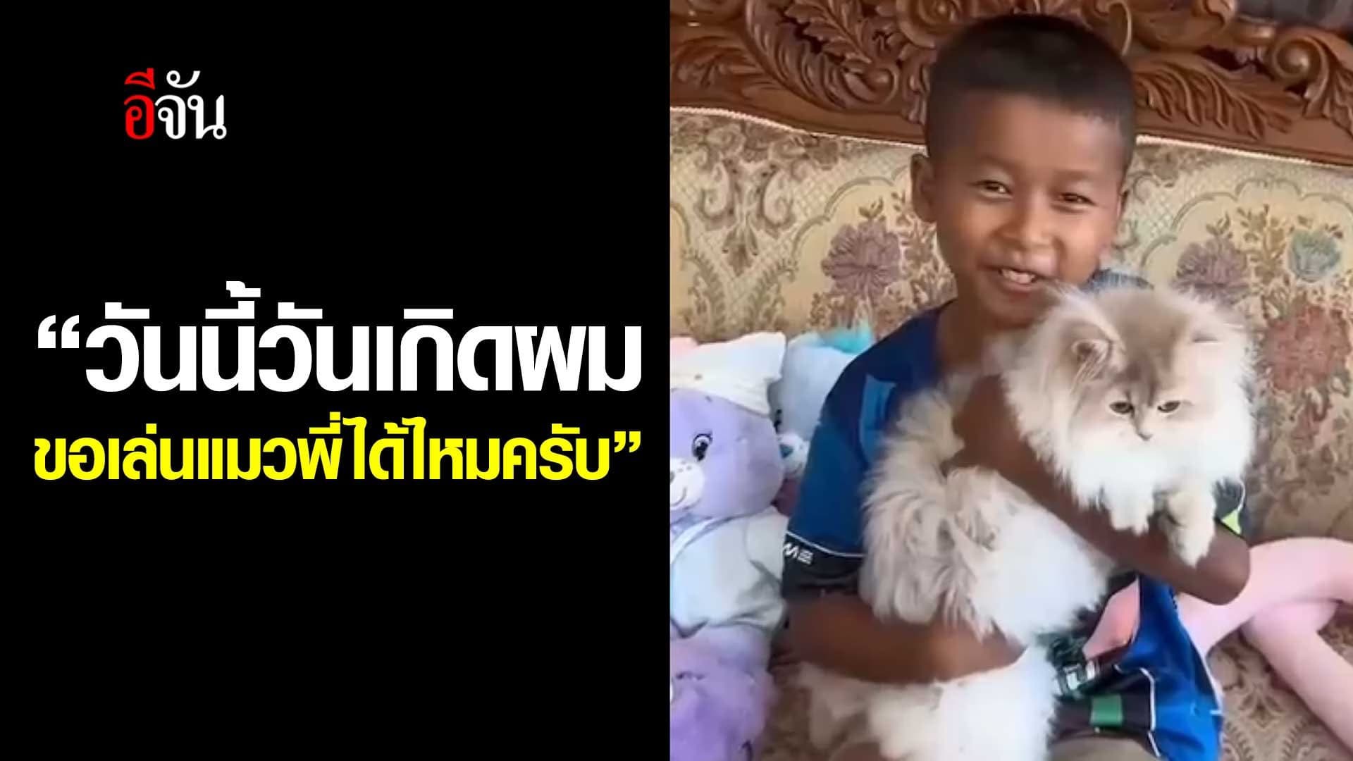 🎬 “วันนี้วันเกิดผม ขอเล่นแมวพี่ได้ไหมครับ”