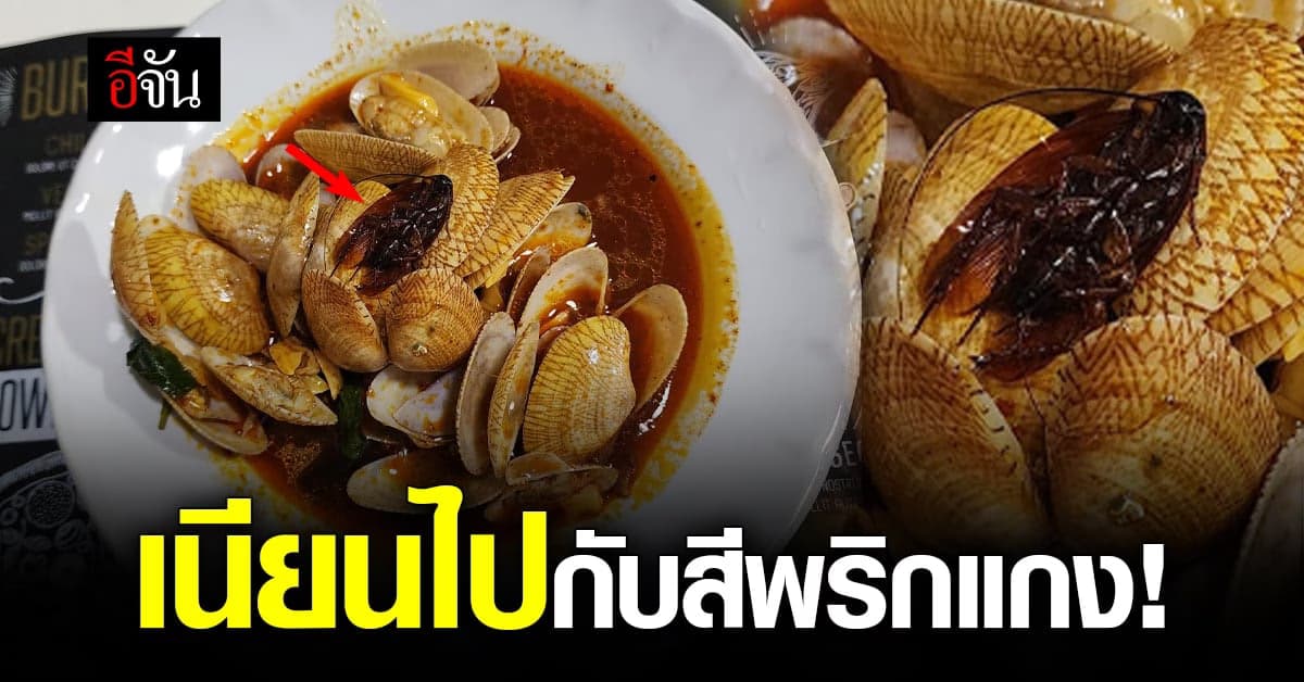 อวสานมื้ออาหาร สาวซื้อผัดหอยลาย ได้แมลงสาบเป็นของแถม