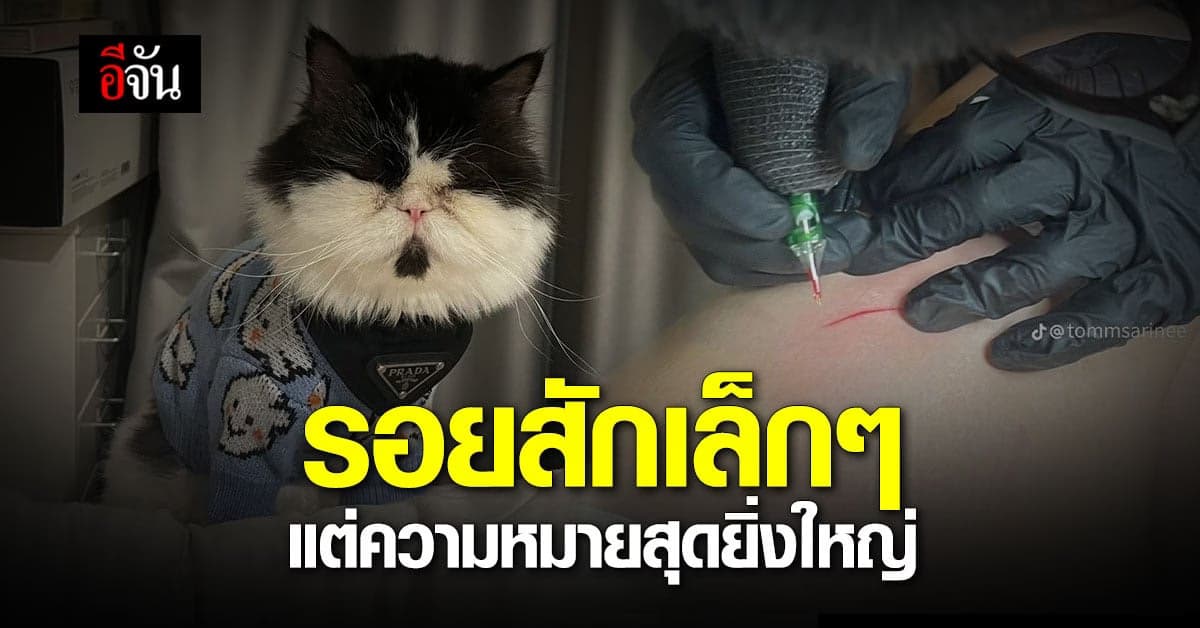 รอยสักเล็กๆ แฝงความหมายสุดยิ่งใหญ่ ประทับใจ ฟังแล้วน้ำตาไหล