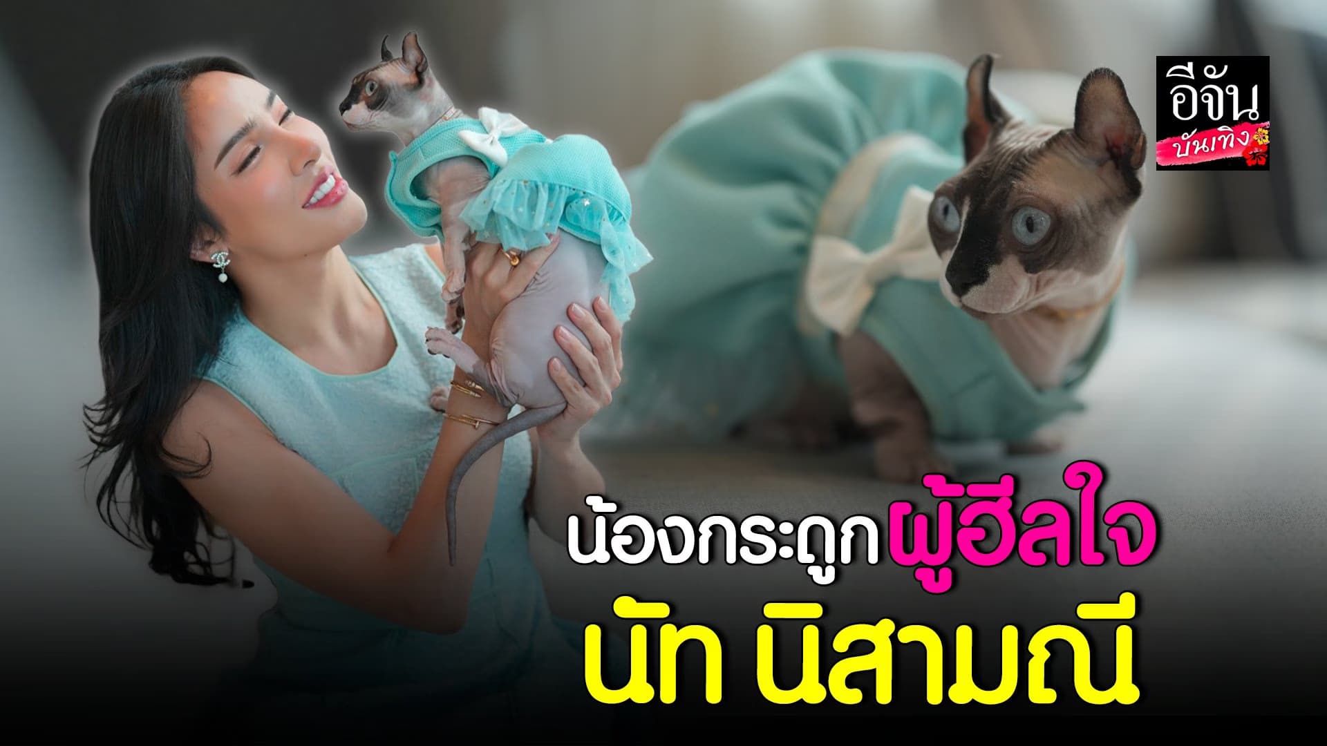 🎬 คลิปบันเทิง : นัทนิสามณี อยู่กับแมวมีความสุข โสดไม่รีบ