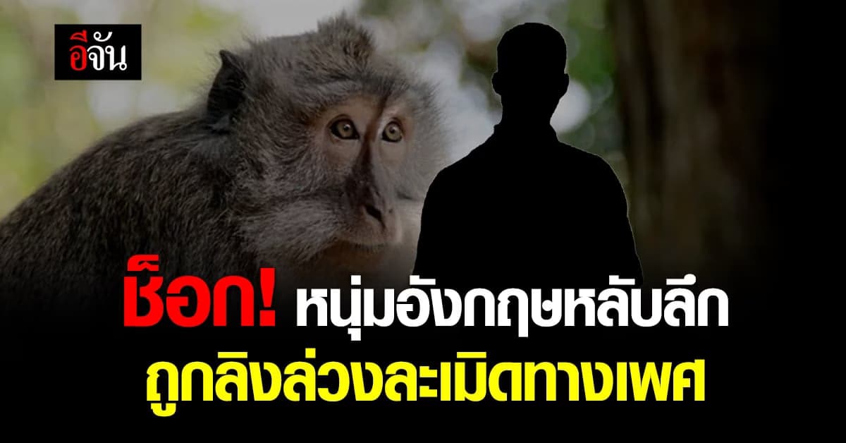 อึ้ง! ลิงแสมหางยาวในกัมพูชา ล่วงละเมิดทางเพศนักท่องเที่ยว