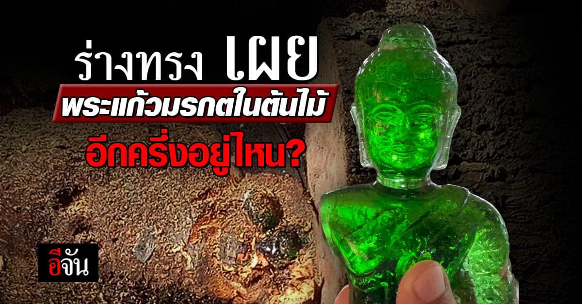 ร่างทรง เผย พระแก้วมรกตเก่าแก่ ในต้นมะม่วง ครึ่งล่างอยู่ไหน?
