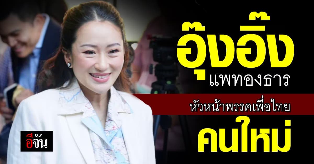 รู้จัก อุ๊งอิ๊ง แพทองธาร หัวหน้าพรรคเพื่อไทยคนใหม่