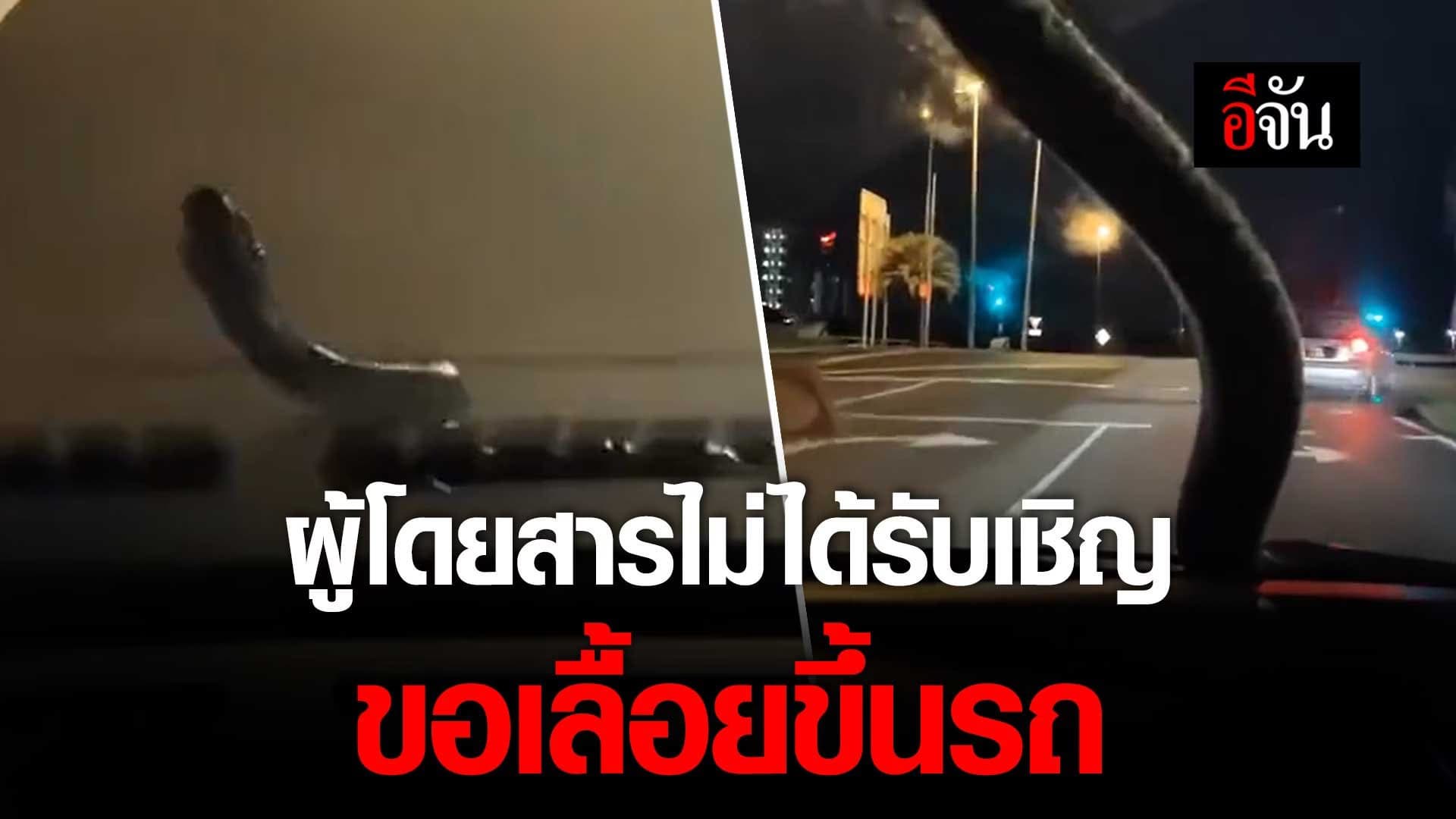 🎬 ผู้โดยสารไม่ได้รับเชิญ ขอเลื้อยขึ้นรถ นุดไปไหนเราไปด้วยนะ