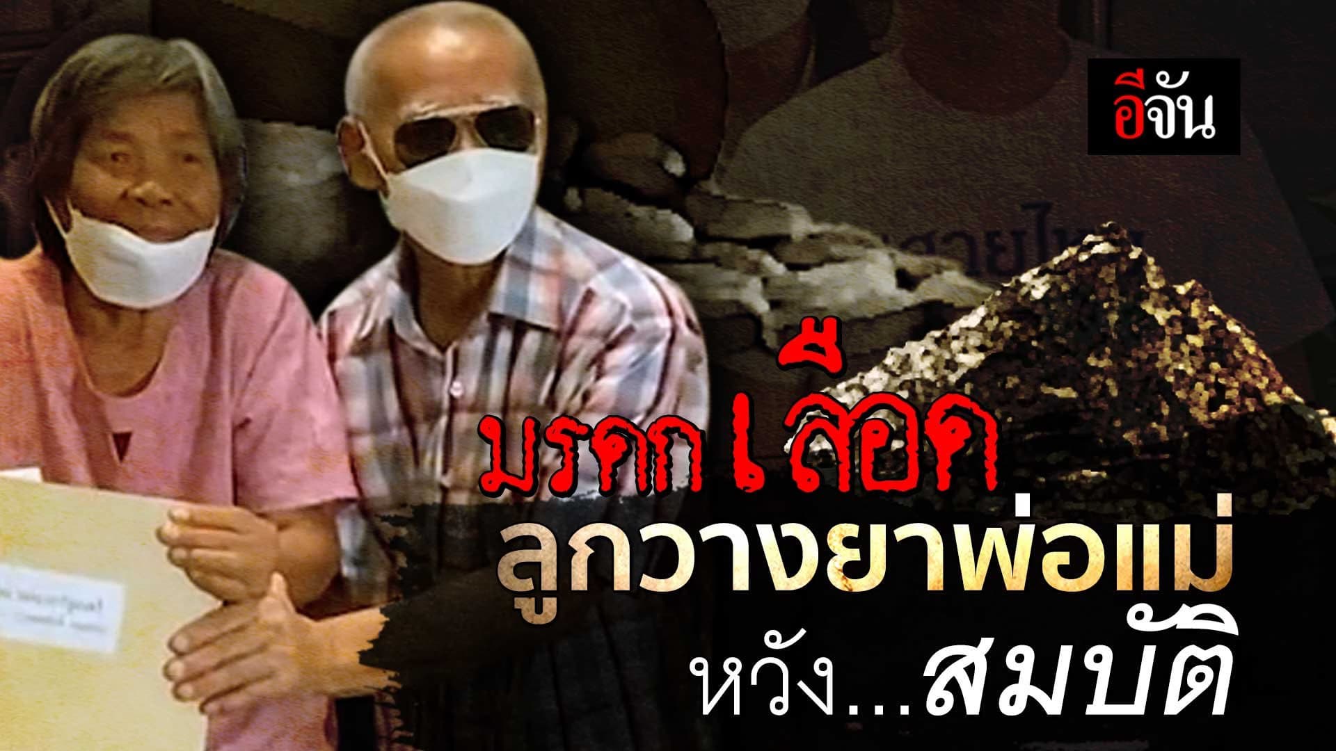 🎬 มรดกเลือด ลูกวางยาพ่อแม่ หวังสมบัติ