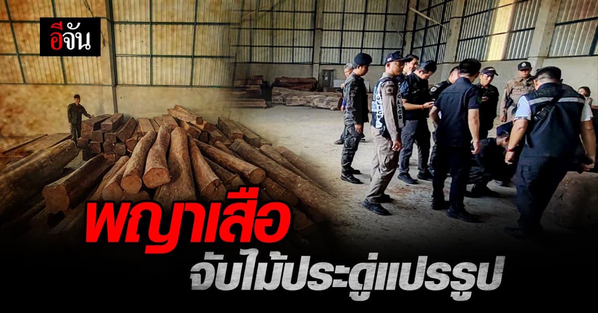 พญาเสือ ติดตามขบวนการ ค้าไม้เหนือ ยึดไม้แปรรูปเพียบ