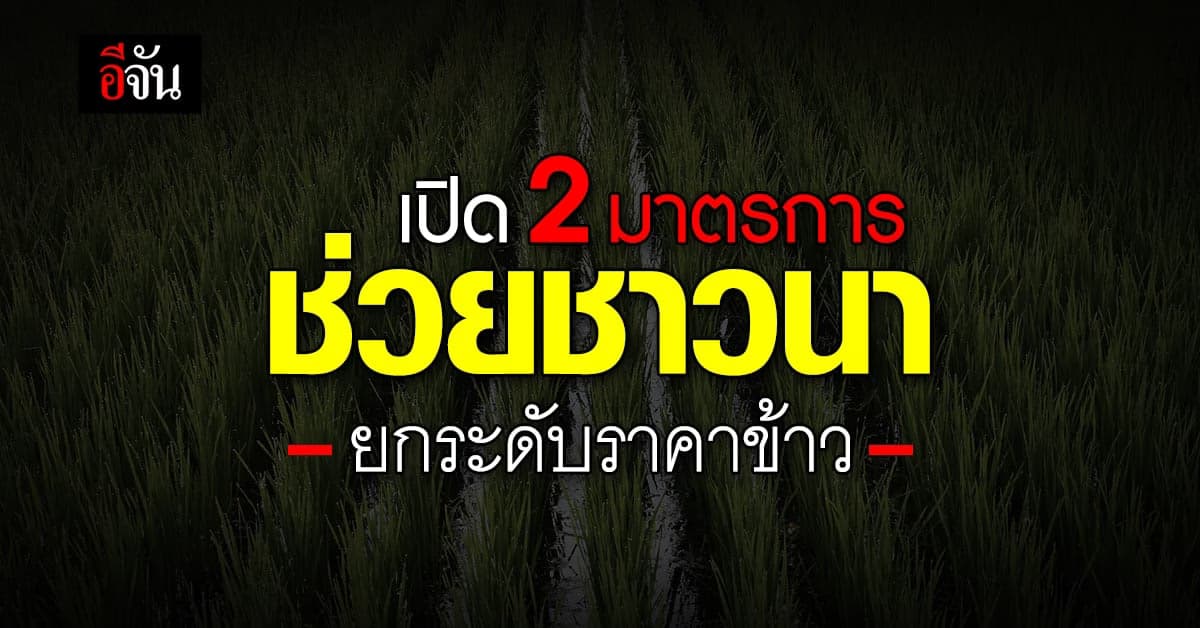 ชาวนา เช็กด่วน! 2 มาตรการ ช่วยยกระดับราคาข้าว วงเงิน 55,038 ล้านบาท