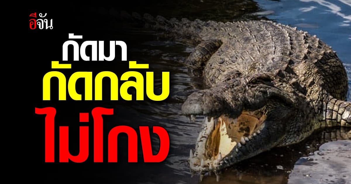 หนุ่มออสซี่ ถูกจระเข้ ยาว 3 เมตรกัด แต่รอดหวุดหวิด เพราะกัดคืน