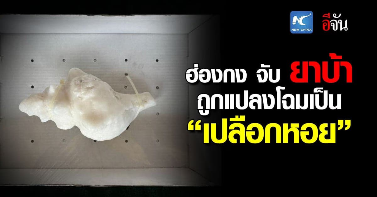 ฮ่องกง จับ ยาบ้า ถูกแปลงโฉมเป็น “เปลือกหอย”