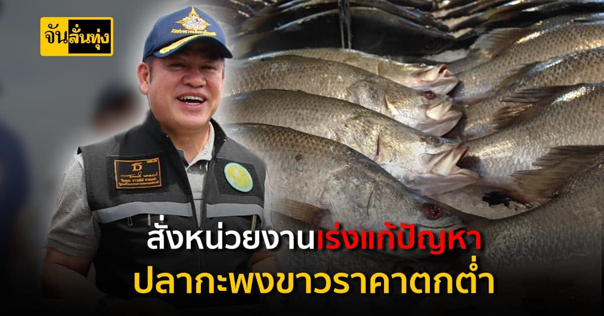 ร.อ.ธรรมนัสฯ สั่งเร่งแก้ปัญหาราคาปลากะพงขาวตกต่ำ ราคาต่ำสุดในรอบปี
