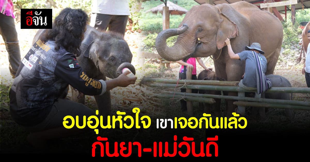 อบอุ่นหัวใจ ยัยหนูกันยา คลอเคลียแม่วันดีซ้อมเข้าเต้าวันแรก