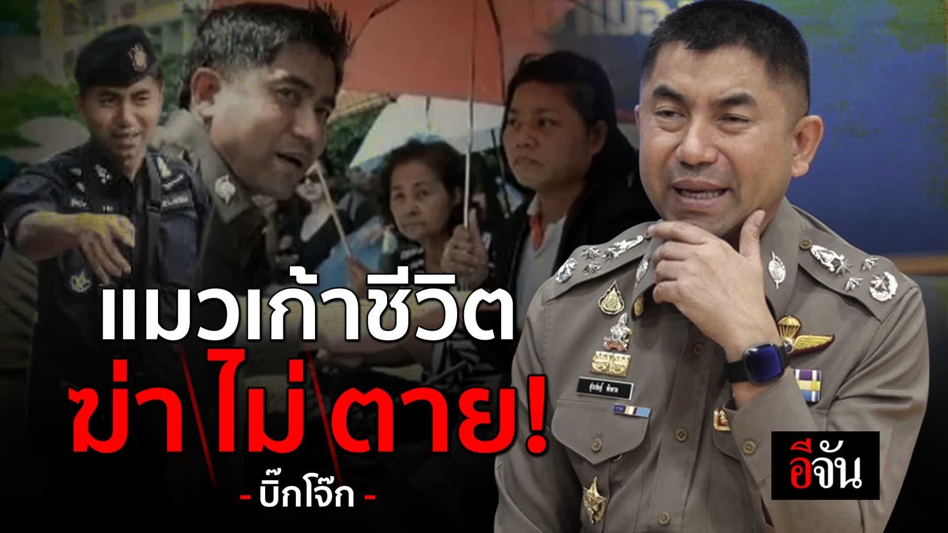 🎬 มรสุม “บิ๊กโจ๊ก” แมวเก้าชีวิต ฆ่าไม่ตาย