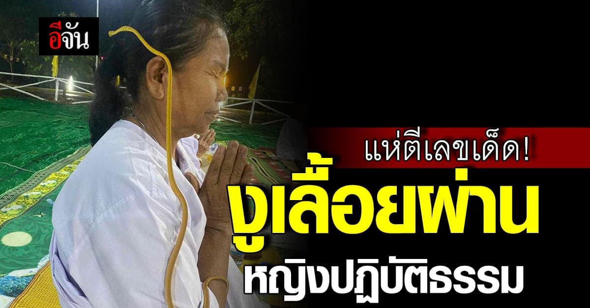 แห่ตีเลขเด็ด! งูเลื้อยผ่านหญิงนั่งปฏิบัติธรรม เชื่อมาให้โชค