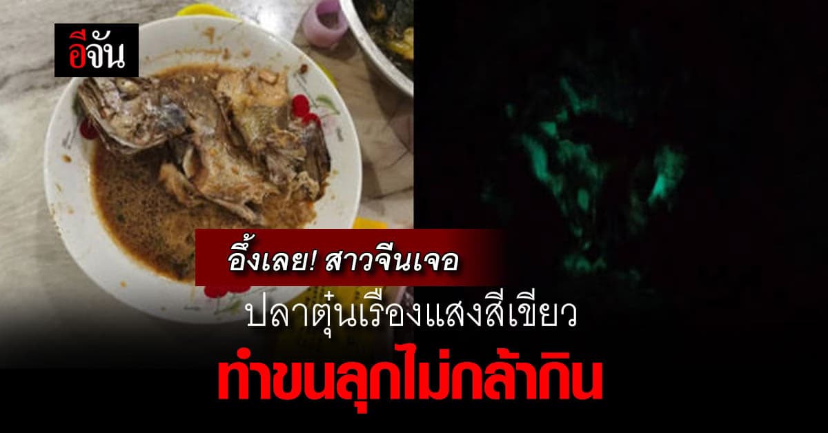 อึ้ง! สาวจีนเจอปลาตุ๋นเรืองแสงสีเขียว ทำขนลุกไม่กล้ากิน