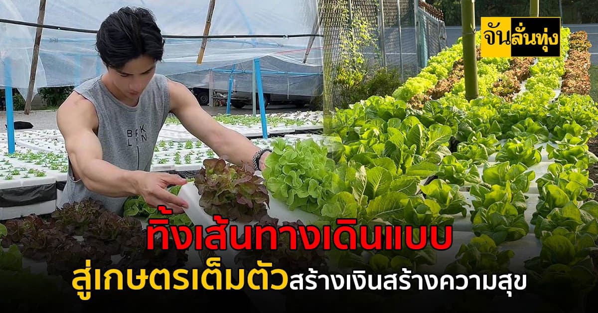 ทิ้งงานเดินแบบลุยเกษตรเต็มตัว ปลูกผักขายสร้างรายได้ที่มั่นคง