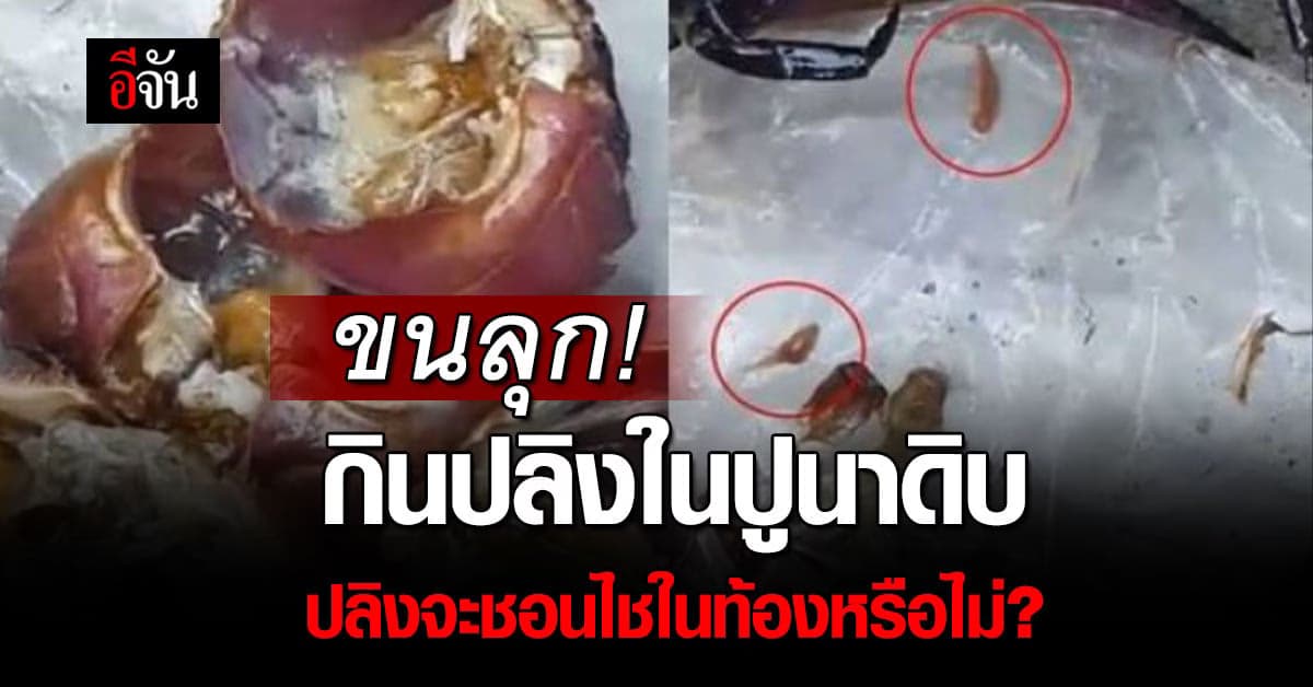 ขนลุก! “หมอหมู” ไขสงสัยกินปลิงในปูนาดิบปลิงจะชอนไชในท้องหรือไม่?