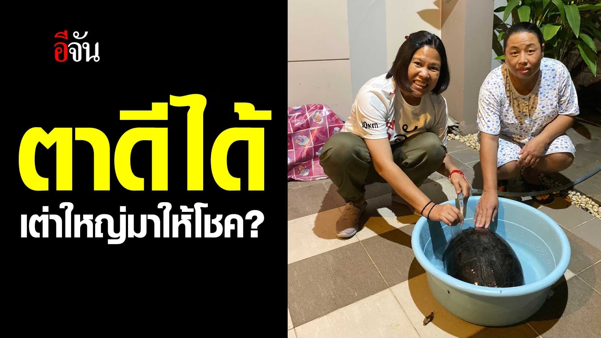 🎬 อีจันขับรถกลับบ้าน แต่เจอเต่าตัวใหญ่ อยู่ข้างทาง