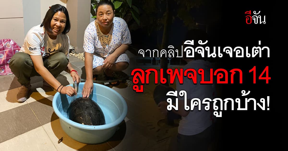 จากคลิป ‘อีจัน’ เจอเต่า ลูกเพจบอก 14 มีใครถูกบ้าง?