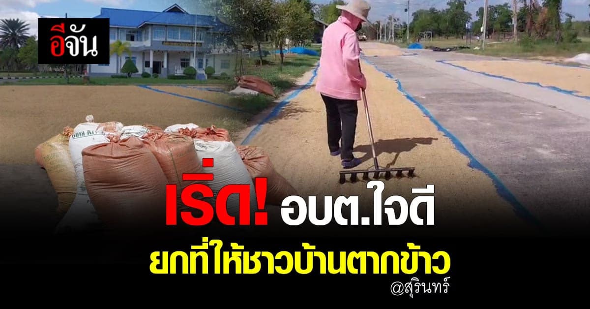 อบต.ทับทัน ใจดี ยกลานหน้า อบต. ให้ ตากข้าวเปลือก แก้ปัญหา ตากข้าวบนถนน