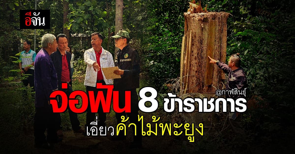 ตำรวจ รับไม้ ปปช. จ่อฟัน 8 ข้าราชการ เอี่ยวขาย ไม้พะยูง ในที่ ราชพัสดุ